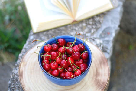 Bowl of fresh cherries and open book in a garden. Selective focus.