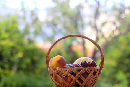 Vintage basket filled with various fruit. Selective focus.の写真素材