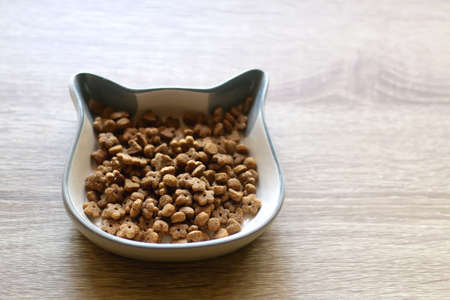 Cat shaped bowl filled with dry cat food. Selective focus.の写真素材