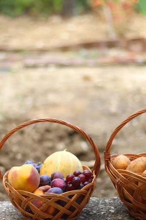 Two baskets full of fresh fruit and vegetable in a garden. Selective focus.の写真素材