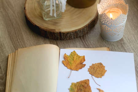Old book with pressed autumn leaves, lit candles and vase with gypsophila flowers. Selective focus.の写真素材