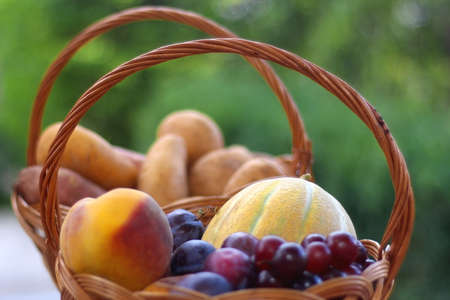 Two baskets full of fresh fruit and vegetable in a garden. Selective focus.の写真素材