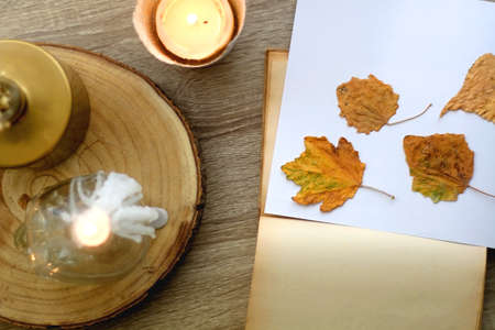 Old book with pressed autumn leaves, lit candles and vase with gypsophila flowers. Flat lay.の写真素材
