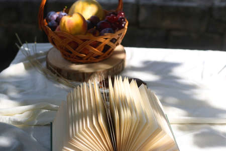 Vintage basket with various fruit and open book in a garden. Selective focus.の写真素材