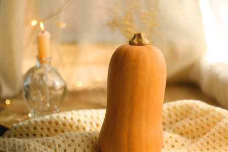 Butternut squash, soft blanket, open book, reading glasses and lit candles. Autumn season, hygge at home. Selective focus.の写真素材