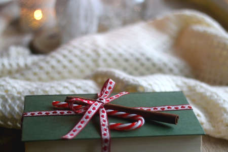 Hardcover books wrapped with ribbon, candy cane and cinnamon stick. Candles, blanket and Christmas decorations in the background. Giving the gift of knowledge for Christmas. Selective focus.の写真素材