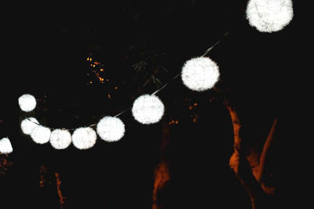 Christmas garland hanging in a park at night. Selective focus.
