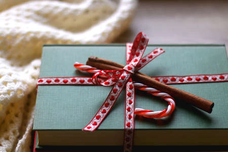 Two hardcover books wrapped with ribbon, candy cane and cinnamon stick and soft knitted blanket....