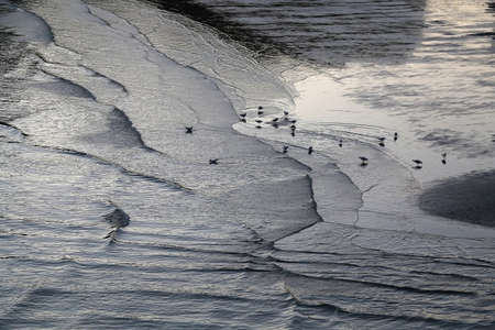 Seagulls and beautiful sunset on the beach in Split, Croatia. Selective focus.