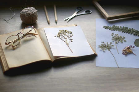 Old book, papers, various pressed flowers, eyeglasses, scissors, pencils and rope on wooden desk. Crafting and making herbarium at home. Selective focus.の写真素材