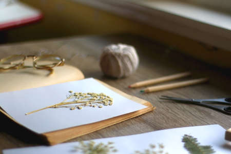 Old book, papers, various pressed flowers, eyeglasses, scissors, pencils and rope on wooden desk. Crafting and making herbarium at home. Selective focus.の写真素材