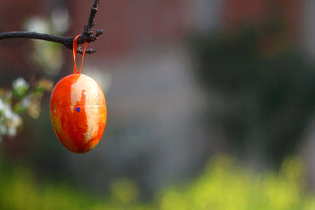 Decorative Easter egg on a tree branch in the garden. Blossom flowers in the background. Selective...