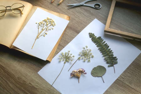 Old book, papers, various pressed flowers, eyeglasses, scissors, pencils and rope on wooden desk. Crafting and making herbarium at home. Selective focus.の写真素材