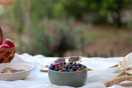 Picninc blanket with straw bag, bowl of strawberries and blueberries, bowl of chocolate chip...