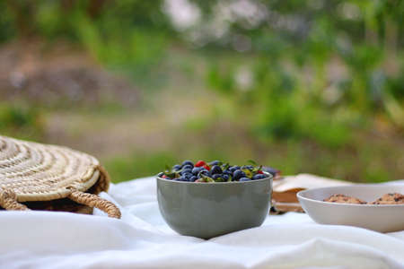 Picninc blanket with straw bag, bowl of strawberries and blueberries, bowl of chocolate chip cookies, books, sunglasses and basket of apples in the garden. Selective focus.の写真素材