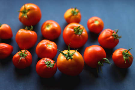 Fresh organic tomatoes, picked from the garden, on dark background. Selective focus.の写真素材