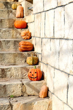 Outdoor stone staircase decorated with various pumpkins. Selective focus.の写真素材