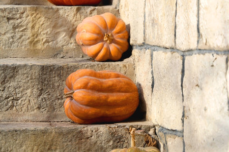 Outdoor stone staircase decorated with various pumpkins. Selective focus.の写真素材