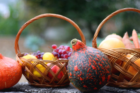 Hokkaido pumpkins and vintage baskets filled with various autumnal produce in the garden. Selective...