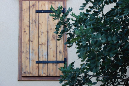 Window with wooden mediterranean shutters and tree branches. Selective focus.