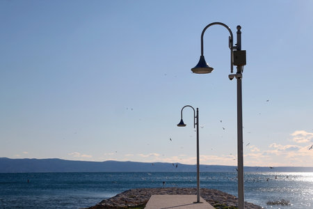 Street light on the promenade by the sea. Seagulls flying in the background. Selective focus.の写真素材