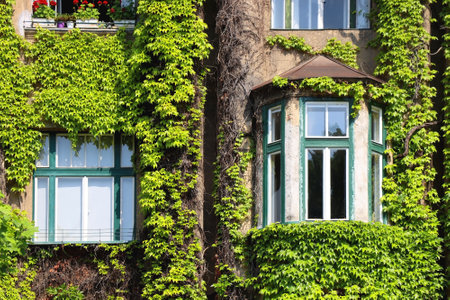 Historical building covered in beautiful plants.