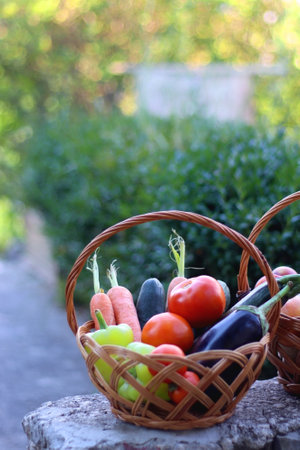 Two wicker baskets with healthy seasonal food in a garden. Selective focus.の写真素材