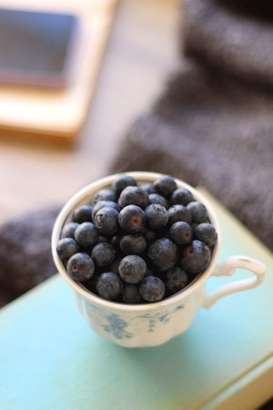 Cup of blueberries, set of books, phone, eyeglasses, lit candles and blanket on the table. Hygge at home. Selective focus.の写真素材