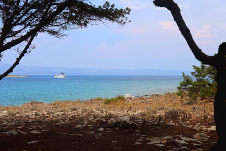 Beautiful wild beach on Proizd, tiny island in southern Croatia.