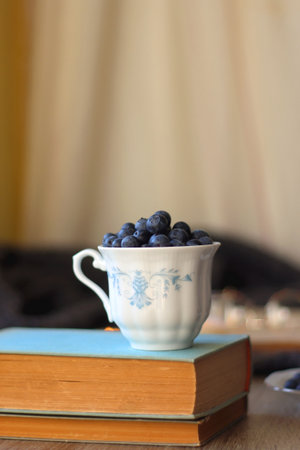 Cup of blueberries, set of books, phone, eyeglasses, lit candles and blanket on the table. Hygge at home. Selective focus.の写真素材