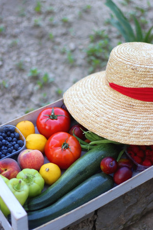Crate with fresh homegrown fruit and vegetable and straw hat in the garden. Selective focus.の写真素材