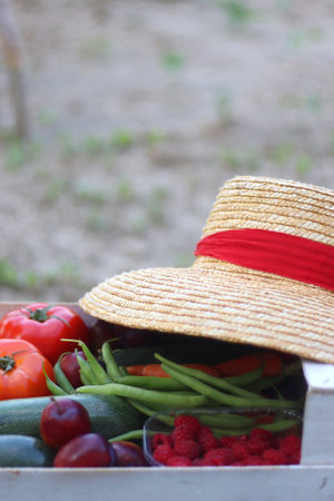 Crate with fresh homegrown fruit and vegetable and straw hat in the garden. Selective focus.の写真素材