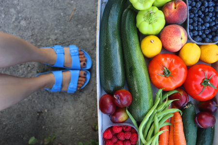 Crate of fresh fruit and vegetable, picked from the garden, and feet in blue sandals. Summer in the garden concept. Top view, unrecognizable person.の写真素材