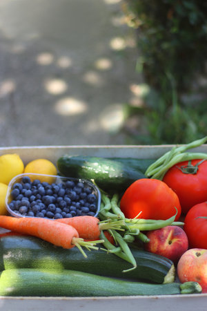 Wooden crate full of healthy seasonal fruit and vegetable, in the garden. Selective focus.の写真素材