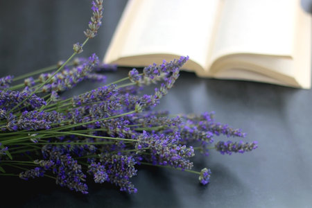Lavender flowers and open book on dark background. Selective focus.の写真素材