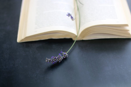 Lavender flowers and open book on dark background. Selective focus.の写真素材