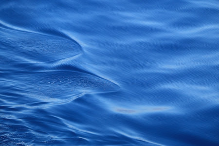 Bright blue sea surface, close-up.の写真素材