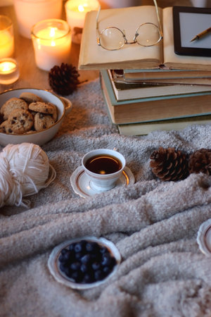 Bowl of cookies, cup of tea or coffee, plate of blueberries, dry oranges, wool yarn, pine cones, books, reading glasses, tablet, pen, soft blanket and lit candles on the table. Winの写真素材