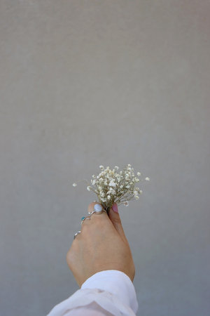 Hand with silver rings and pastel pink nail polish, holding gypsophila flowers. Minimal gray...