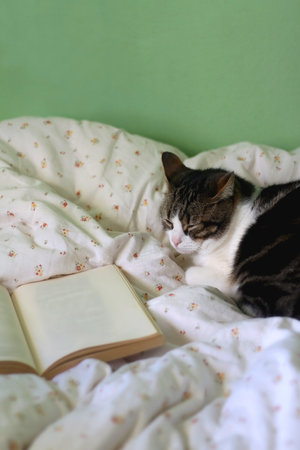 Open book and sleepy cat on the bed. Selective focus.