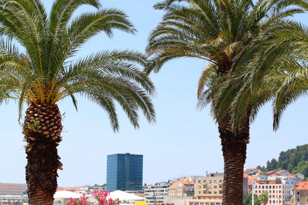 Historical city centre of Split, Croatia. Beautiful view of the promenade.の写真素材