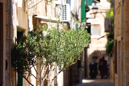 Picturesque Mediterranean street and traditional architectural details in Trogir, Croatia.の写真素材