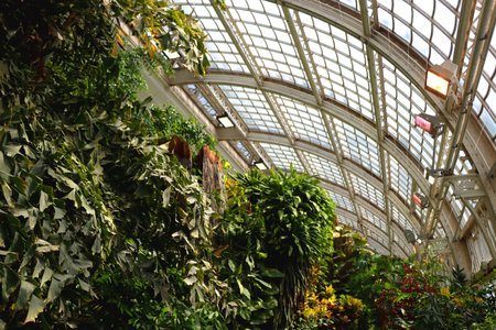 Glasshouse with beautiful tropical plants in Vienna, Austria.の写真素材