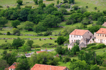 Small Mediterranean village in the mountain Kamesnica, Croatia.の写真素材