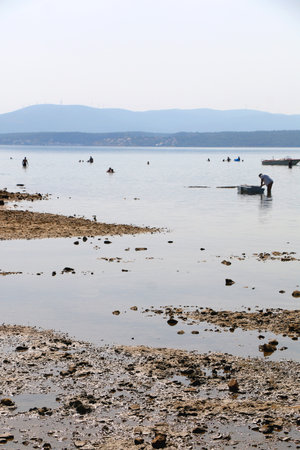 Beautiful Nekic beach in Posedarje, Croatia.の写真素材