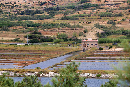Saltwork and beautiful landscape on island Pag, Croatia.の写真素材
