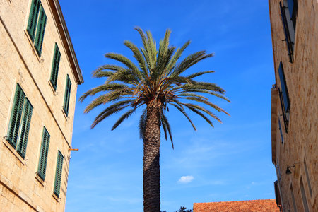 Traditional Mediterranean architecture in Vela Luka, on island Korcula, Croatia.の写真素材