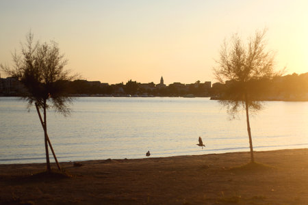 Beautiful beach in Podstrana, small coastal town near Split, Croatia.の写真素材
