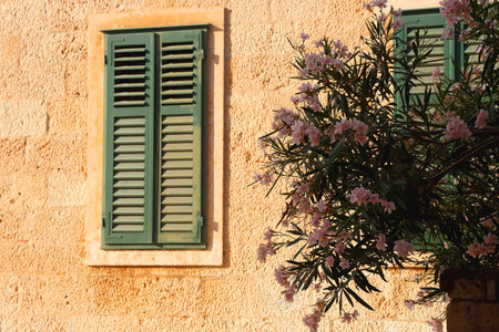 Traditional Mediterranean architecture in Vela Luka, on island Korcula, Croatia.の写真素材