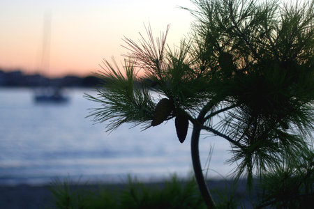 Beautiful beach in Podstrana, small coastal town near Split, Croatia.
